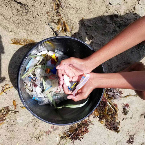 trash that was picked up on beach